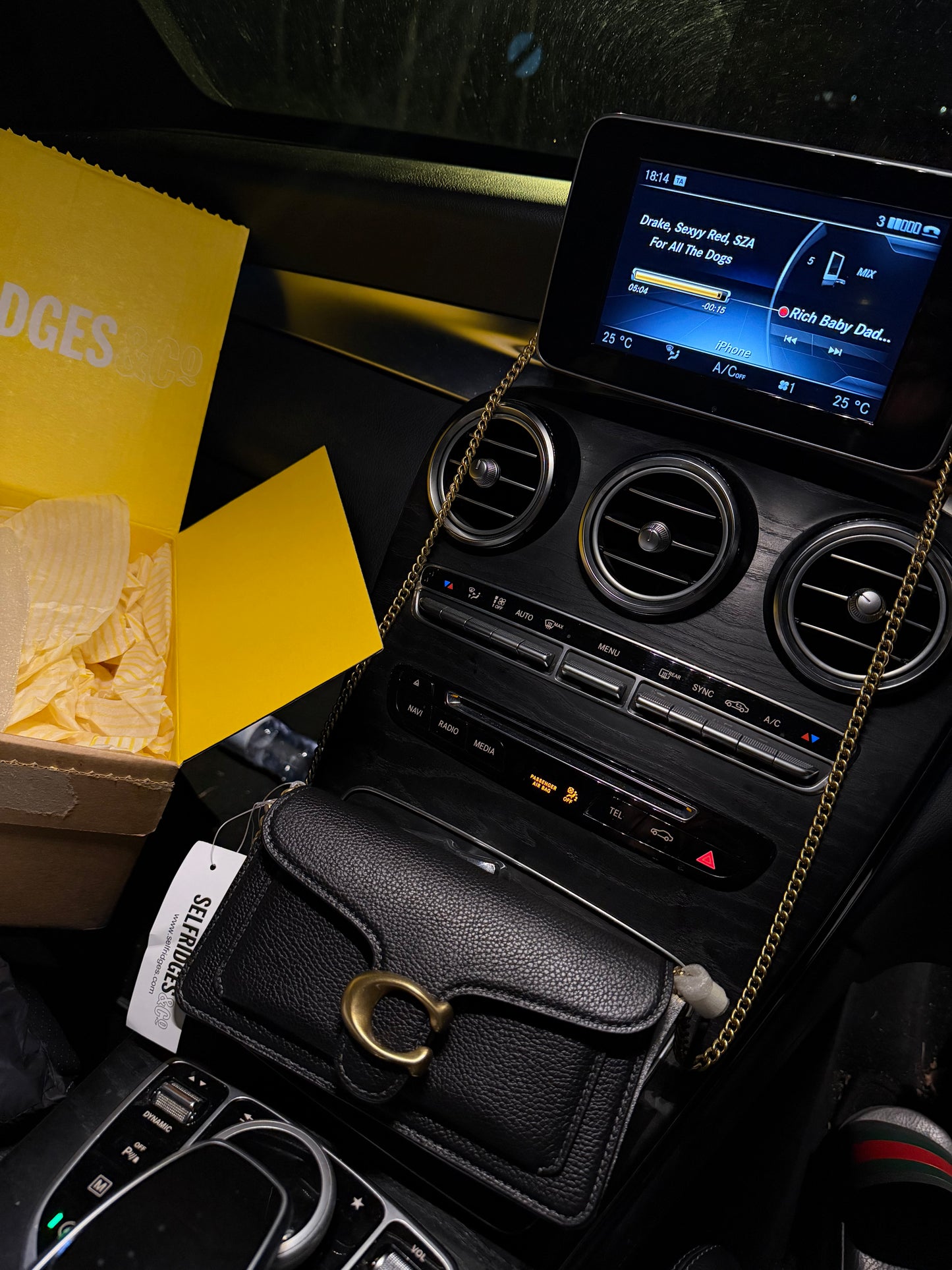 Tabby Chain Crossbody 19 Bag (black)