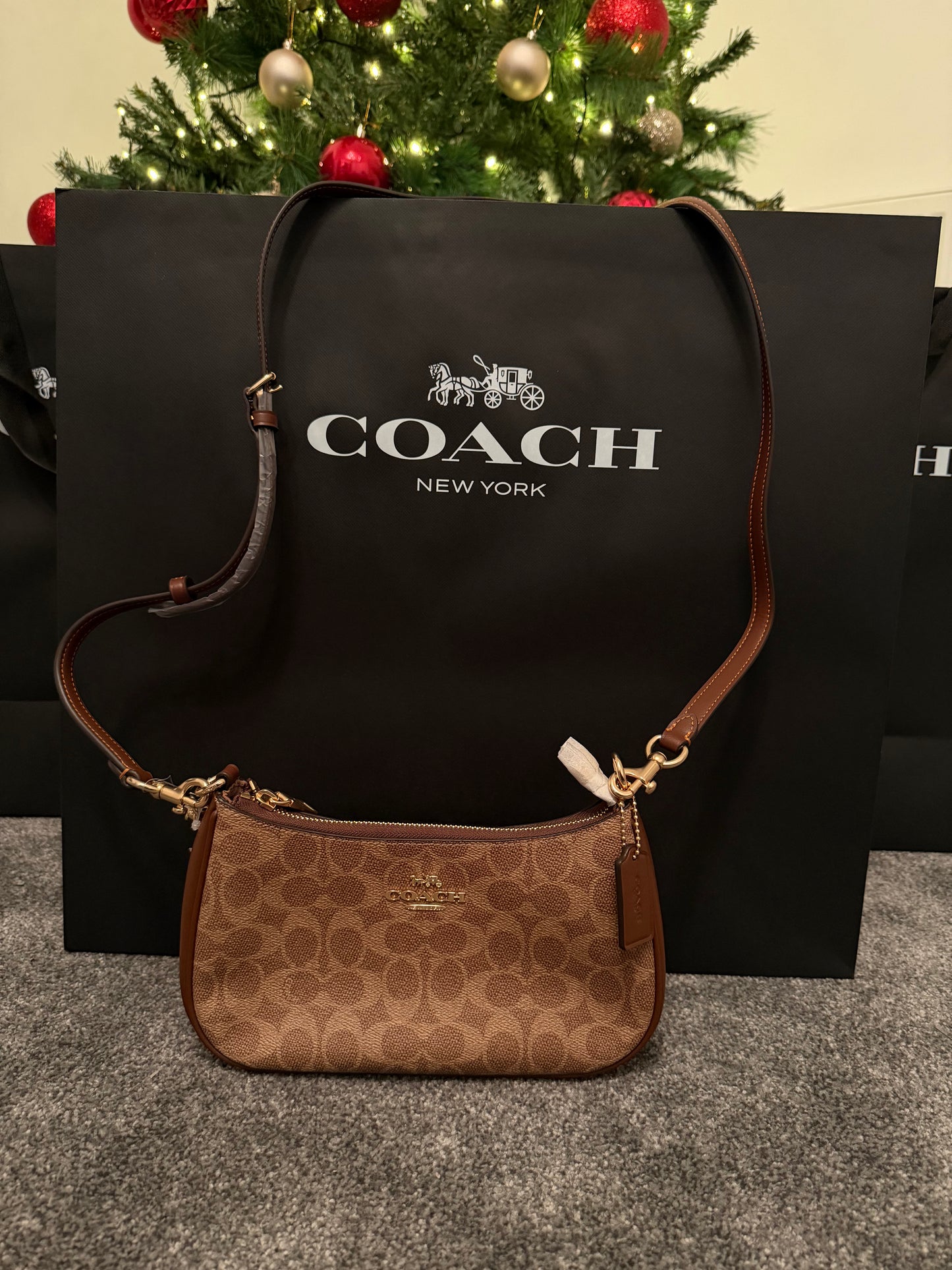 Teri Shoulder Signature Canvas Bag (Brown)