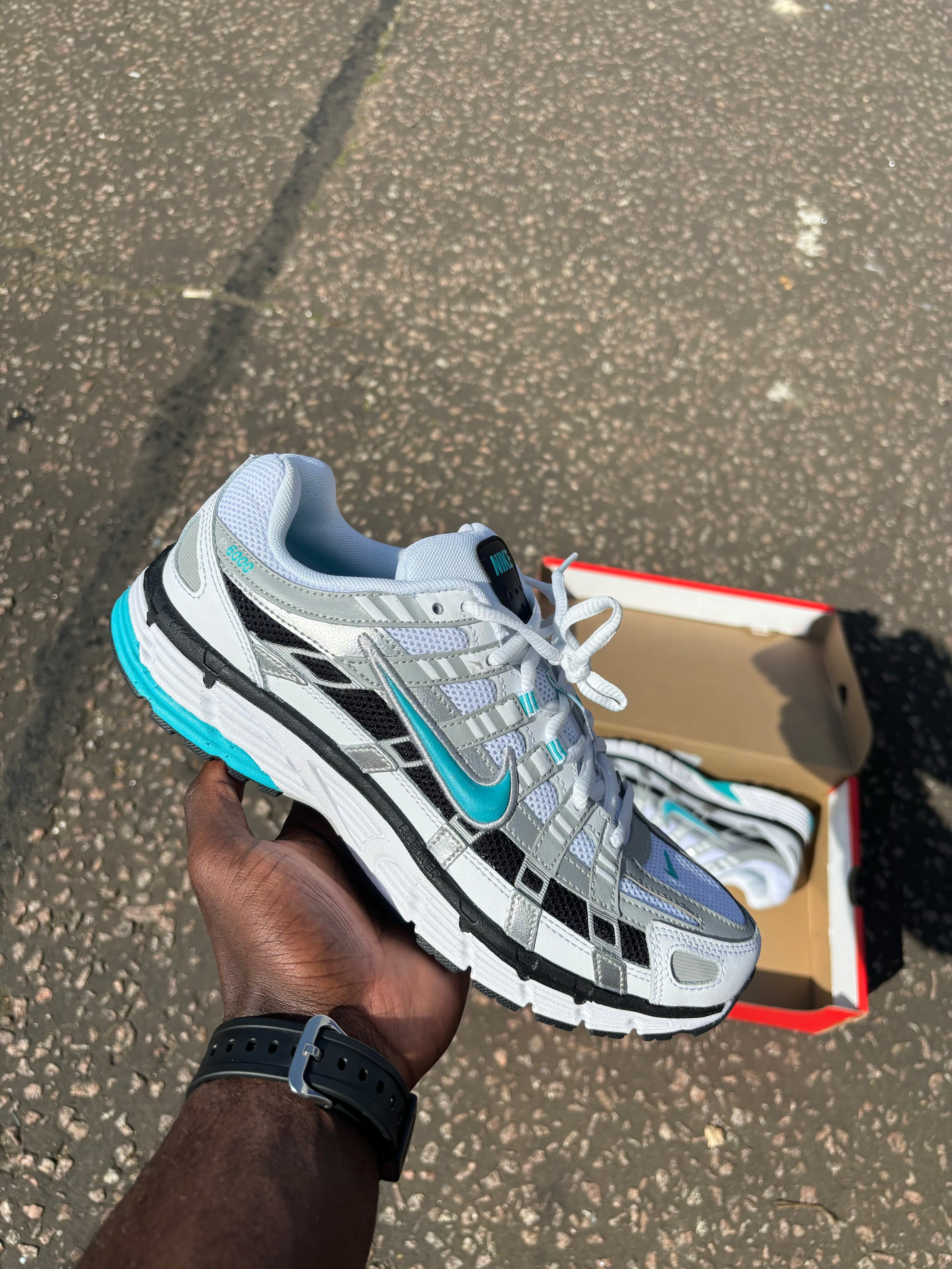 Nike P6000 Dusty Cactus